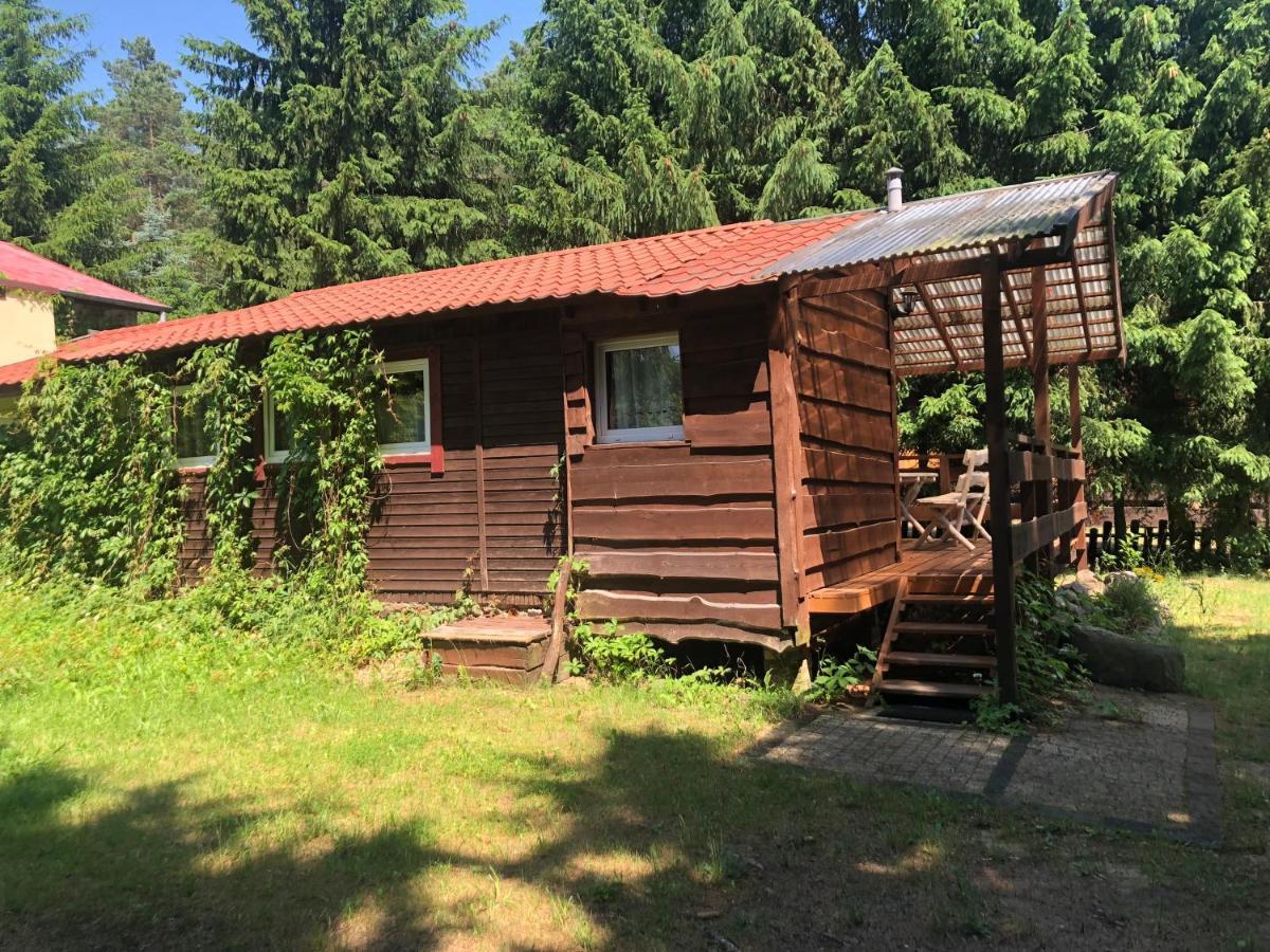 Gosciniec Pod Debem Vila Wilimy Exterior foto