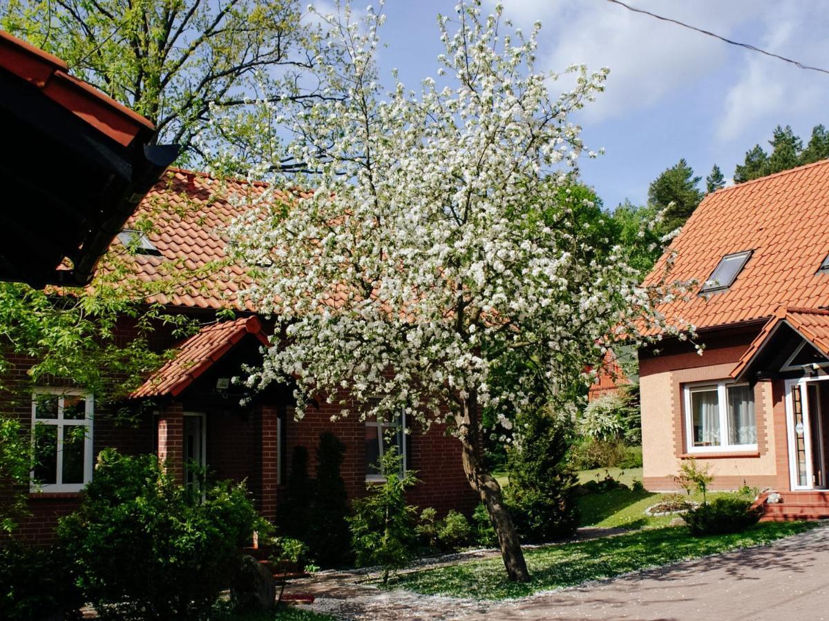 Gosciniec Pod Debem Vila Wilimy Exterior foto